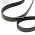 Set curea transmisie cu AC strechbelt Ford fiesta mk6 facelift 1.25 16v