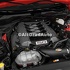 Capac motor 5.0 GT Ford mustang 5.0 v8