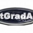 Grila radiator Ford ecosport 1.5 tdci