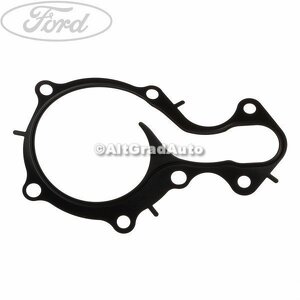 Garnitura pompa apa Ford bmax 1.0 ecoboost