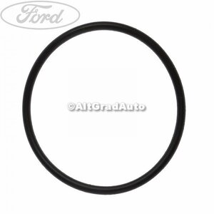 Garnitura pompa ulei Ford focus 3 2.0 tdci