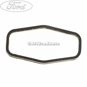 Garnitura sorb ulei Ford fusion 1.6 tdci