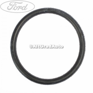 Garnitura termostat 55 mm Ford fiesta 5  1.3