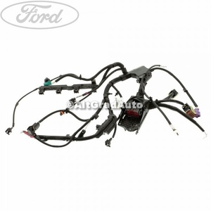 Instalatie electrica alimentare injectoare Ford fiesta mk 7 1.25