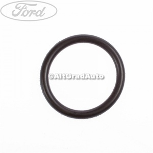 Oring ax came chiulasa Ford fiesta mk 7 1.25