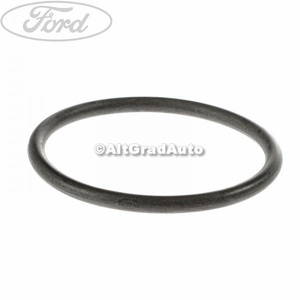 Oring flansa termostat Ford galaxy 1 1.9 tdi