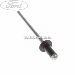 Popnit placa verificare autoturism Ford cougar 2.0 16v