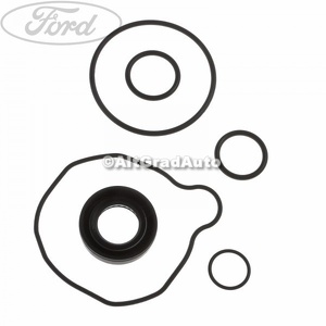 Set garnituri pompa servodirectie Ford ranger 3 2.2 tdci