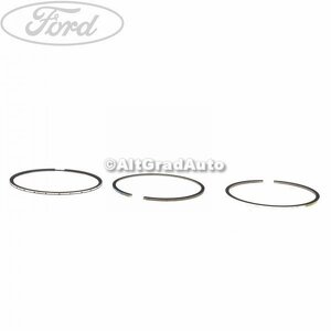 Set segmenti piston standard Ford cmax mk2 2.0 tdci