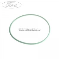 Garnitura, oring alb pompa combustibil Ford Edge 2.0 TDCi