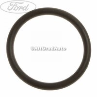 Garnitura oring pompa ulei Ford Cougar 2.5 ST 200