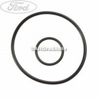 Garnitura supapa sens pompa vacuum Ford Focus Mk2 2.0 TDCi