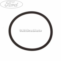 Garnitura pompa injectie - o ring Ford Transit MK7 2.2 TDCi