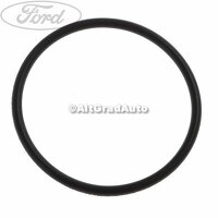 Garnitura oring negru pompa combustibil Ford Tourneo Connect 2 1.0 EcoBoost