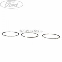 Set segmenti piston standard Ford CMax Mk2 2.0 TDCi