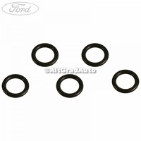 O ring chiulasa 6 mm Ford Tourneo Connect 2 1.6 TDCi