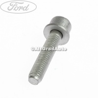 Surub 30 mm prindere tubulatura inferioara galerie admisie Ford S Max 2.0 TDCi