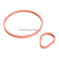 Garnitura o ring pompa vacuum set Ford Fusion 1.4 TDCi