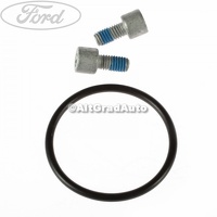 Garnitura motoras etrier frana spate Ford S Max 2.0 TDCi