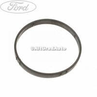 Garnitura inel termostat Ford Focus 2 1.4