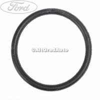 Garnitura termostat 55 mm Ford Fiesta 5  1.3