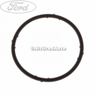 Oring adaptor apa bloc motor Ford Galaxy 1 1.9 TDI