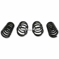 Set arcuri elicoidale suspensie sport EIBACH Ford Mustang 2.3 EcoBoost