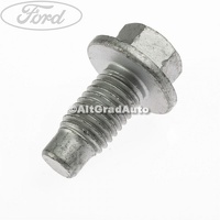 Surub 20 mm prindere conducta servodirectie Ford Fiesta 5  ST150